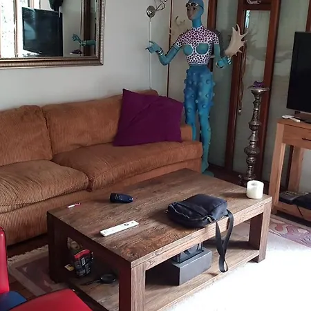 אתר קמפינג 6 P. Bungalow Rekr. Park Veluwshof הונדרלו