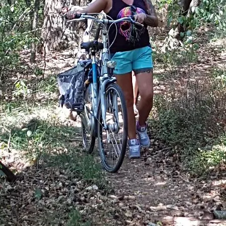 6 P. Bungalow Rekr. Park Veluwshof הונדרלו