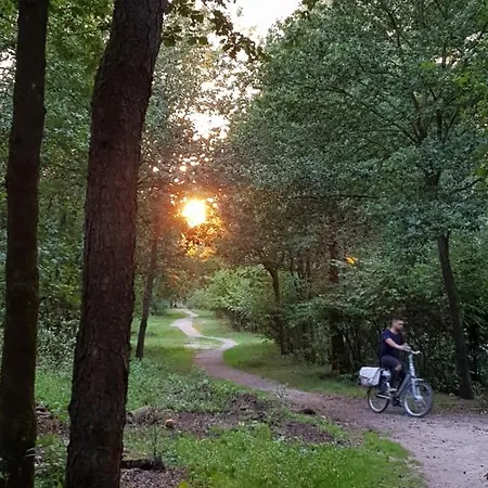 6 P. Bungalow Rekr. Park Veluwshof * הונדרלו